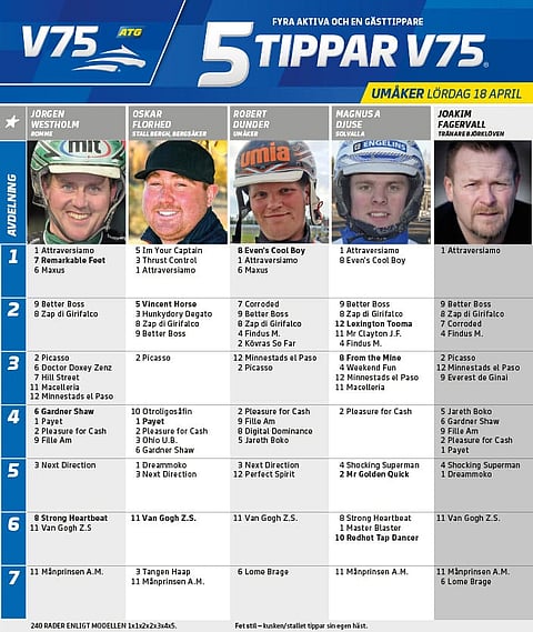 Next Direction on Westholmin varma, Goopilla myös suomalaisvarma