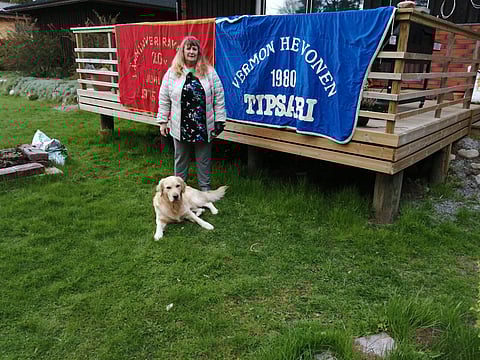 Anne Liirre-Perheenniemi toimi muun muassa vuoden 1980 Vermon Vuoden hevosena palkitun At Riskin hoitajana. Kuvassa Anne perheen kultaisennoutajan Ollin (Kasion Farrier) kanssa.