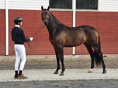 Don Henry miellytti lautakuntaa.