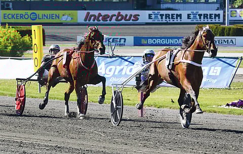 Double Exposure hallitsee Stoeliteniä. Takana Willow Pride seuraa neljänneksi. Kuva: Anu Leppänen