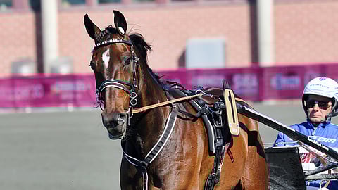 Elian Webiä ohjastaa Solvallassa tuttu luottokuski Jorma Kontio.