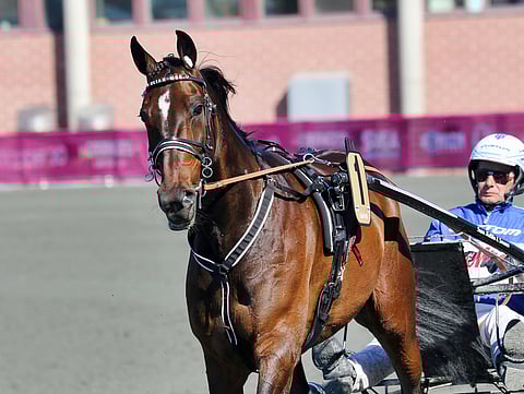 Upean kauden Ruotsissa ravannut Elian Web saapuu tähdittämään Suur-Hollola-ajoa Jorma Kontion kera.