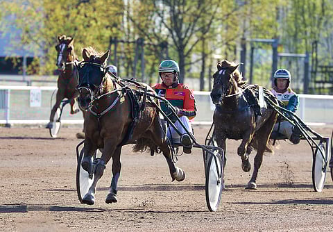 Antti Tupamäen suojatti Hetviina hoiti leiviskänsä lennokkaasti Toto65-pelipankkina.
