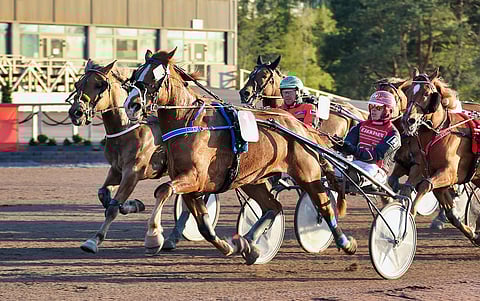 Santtu Raitalan ajama Josveis hallitsi keskiviikkona Vermossa ajettua kylmäveristen avointa ryhmää alusta loppuun.