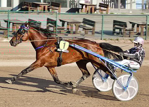 Le Gros Bill ja Antti Teivainen haastavat Elian Webin tiukasti jo välierissä.