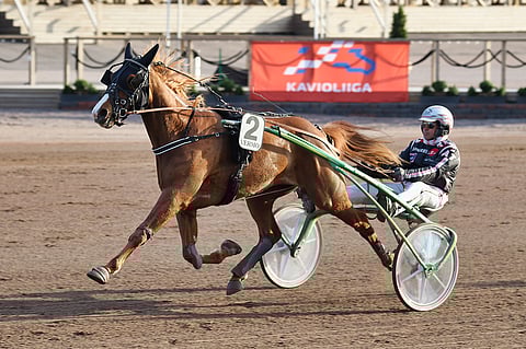 Perfect Rainmaker on tottunut menestymään Vermossa. Tässä tyylinäyte viime vuoden toukokuulta.