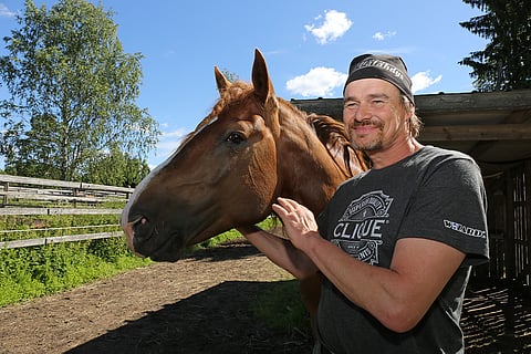 Välähdyksen ja Ville Korjuksen tiet eroavat astutuskauden ajaksi.