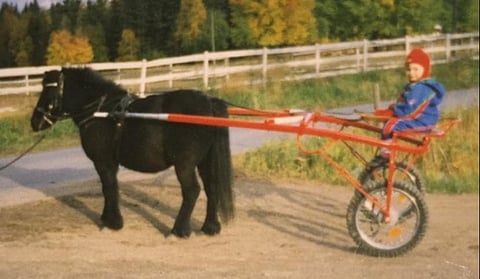 Tyttäriä yllytettiin johonkin muuhun kuin hevosharrastukseen, mutta kyllä heille silti oli aina poni tallissa.
