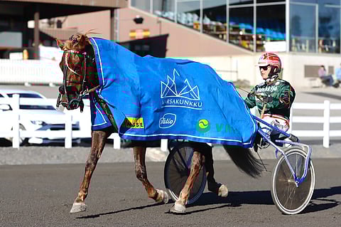 Parvelan Retu on hirmulahjakkuus.