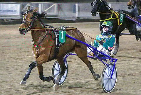 Bean Dead Cert ei ole onnistunut voiton arvoisesti kovin usein. Tammikuussa tuli edellinen osuma, ja sitä ennen vuoden 2018 joulukuussa Jukka Torvisen ajamana.