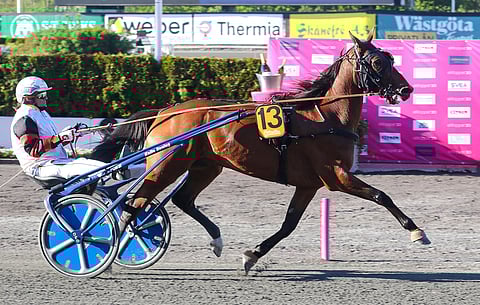 Ble du Gers menestyy Norjassa.