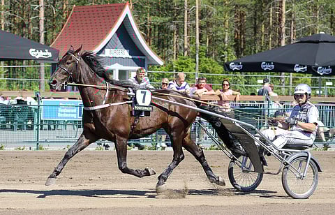 Celebrity Lane kilpaili Matias Salon valmennuksessa 74 kertaa ja tienasi noin 90 000 euroa.