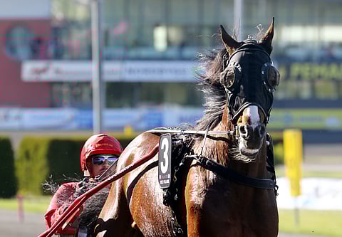 Kuka ajaa Disco Volantea Elitloppetissa, jos se nappaa roosan piletin lauantaina Gävlessä? 