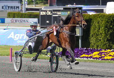 Greta Sisu kilpaili vielä vuoden 2020 Elitloppet-viikonloppuna Solvallassa Timo Nurmoksen tallista. Nyttemmin se on siirtynyt Roni Paldanille.