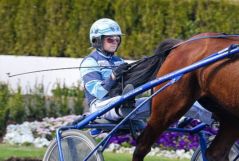 Hanna Lähdekorven Franklin Zet on tänä vuonna ansainnut 264 000 kr. Se on ollut totossa 10 kertaa 13 startissa. Kuva: HU arkisto