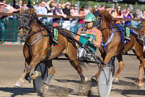 Suursuosikki Hetviina varmistetaan ideavihjeessä.