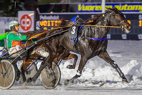 Ville Pohjola ja Kitzune G.G. juhlivat Oulussa.