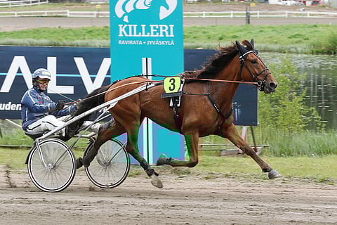 Kuvassa Juha Länsimäen ohjastama Lake's Action saa maanantaina rattailleen Niko Jokelan.