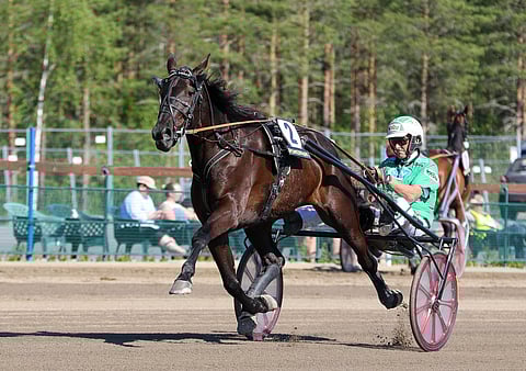 Ari Moilanen on ohjastanut valtaosan Lexus Dreamin starteista.