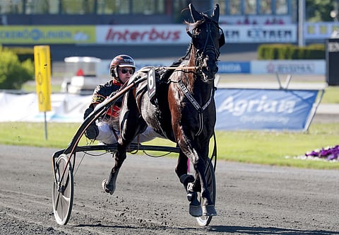 Milliondollarrhyme on kilpaillut urallaan 50 kertaa, voittanut 13 lähtöä ja tienannut reilut 4,8 miljoonaa kruunua. Sen ennätys on 09,2.