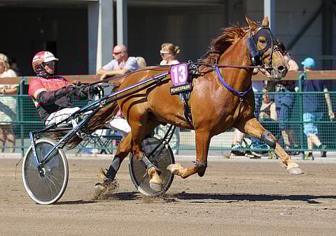 Tapio Perttunen pyrkii luovimaan Morison takaisin voittojen tielle.