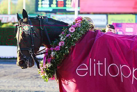 Propulsionin Elitloppet-voitto 2020 käynnisti valtavan skandaali Ruotsin raviurheilussa. (Kuva: HU arkisto/Anu Leppänen)