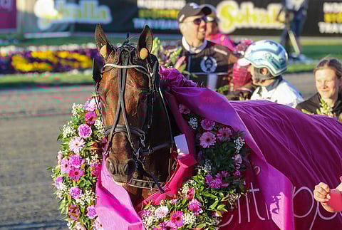 Tuore Elitloppet-voittaja Propulsion on voittanut UET Trotting Mastersin kahdesti. Kuva: Anu Leppänen
