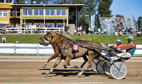 Polara ja Vaellus kävivät kovan taiston voitosta. Kuva Jari Piirala.