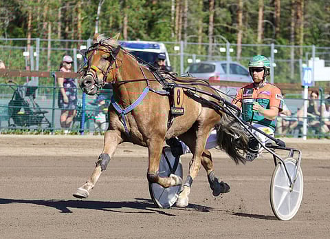 Polara on voittanut urallaan Ruunaruhtinuuden kahdesti.