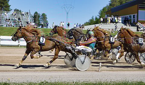 Ruopas ja Antti Tupamäki eivät olleet yllätettävissä. Kuva Jari Piirala.