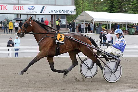 Next Direction ei ollut viimeksi Killerin Eliitissä parhaimmillaan. Festivaali-ajoon se lähtee kirkastamaan viimevuotista kakkossijaansa.