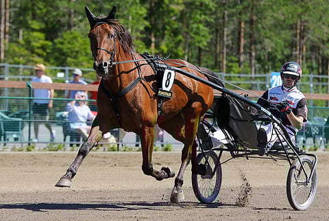 Valiant Dream jatkaa uraansa Suvelan TAllin omistuksessa ja Kimmo Taipaleen valmennuksessa Korpilahdelta käsin.