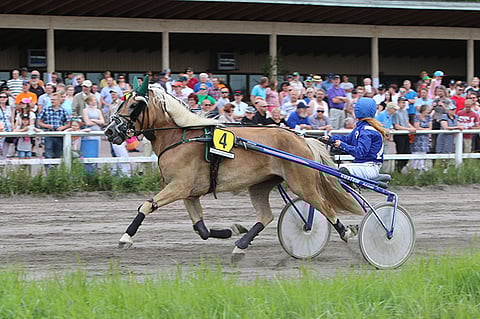 Villin Viksu Reetta Tervosen ajamana Kokemäellä vuonna 2016.