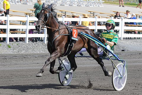 An-Dorra voittaa oman karsintansa.