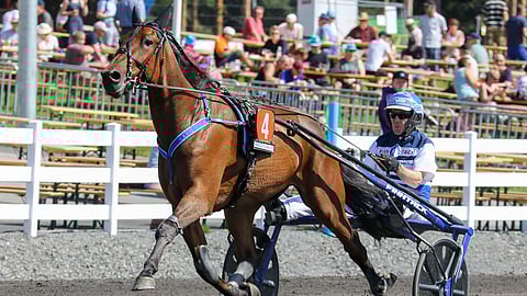 Pekka Korven valmentama Artful Deimos on Pilvenmäen Toto5-pelin ideahevonen.