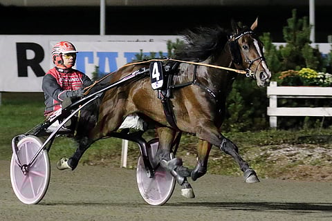 BWT Echo yrittää uusia kriteriumkarsinnan keulavoittonsa, nyt Esa Holopaisen ajamana,