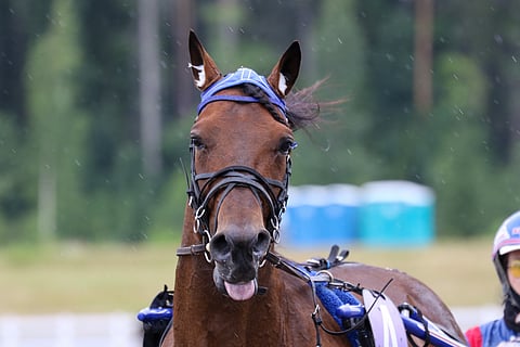 Vermon Isokenkä jää Cameron Evolta uudestaan auenneen polkeman vuoksi väliin.