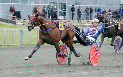 Ravien jälkeen kalaan suunnannut Olli Koivunen tuuletti huippuhevosen onnistumista.