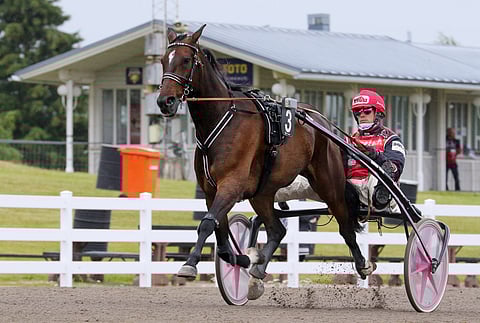 Elian Web. Kuva: Anu Leppänen