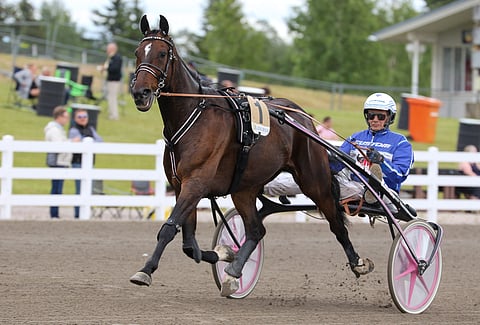 Elian Web. Kuva: Anu Leppänen