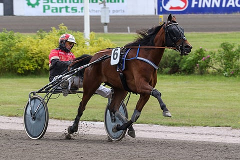 First Class Lady toipuu hyvää vauhtia suolitukoksesta, joka olisi voinut olla kohtalokas, ellei sitä olisi huomattu ajoissa.