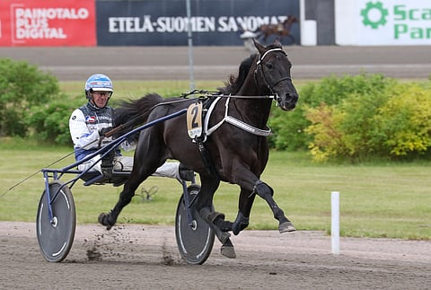 Hotshot Luca tavoittelee Toto75-voittoa ideavarmana.