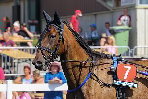 It's Raining Men etenee johtoon ja voittaa viidennen kohteen.