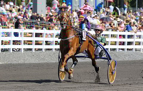 Moni Viking nähtiin myös Mikkelissä. Kuva: Anu Leppänen