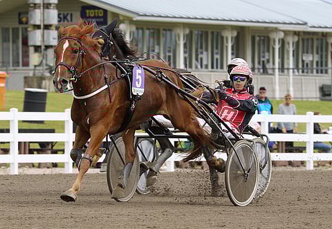 Suur-Hollola-viikonloppuna tammojen mailin voittanut Ryti-Tyttö lunasti paikkansa kunkkarirankingin kolmantena. Kuva: Anu Leppänen