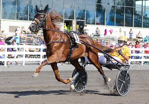 Vernissage Grif sijoittui St Michelissä 2020 toiseksi ajalla 09,2.
