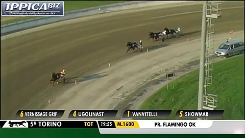 Ilmakuvaa Vernissage Grifin ennätysjuoksusta Torinon Vinovon raviradalla tulokseen 9,4a kesäkuun 28. päivänä. Kuva video  Ippica Biz/Vimeo