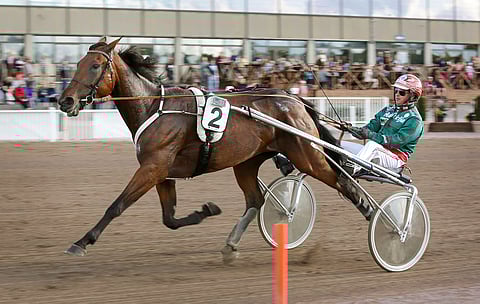 Kuvan The Breeze on kiinnostava haastaja toisen kohteen suursuosikille.