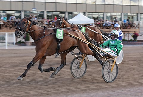 Valiant Dream on oiva ideavarma, Ruunan peliprosentti iltapäivällä oli alle kahdeksan.