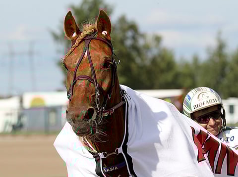 Lauantaina startannut Akaasia jää mammalomalle.